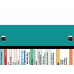 WhiteCoat Clipboard® Trifold - Teal Physical Therapy Edition